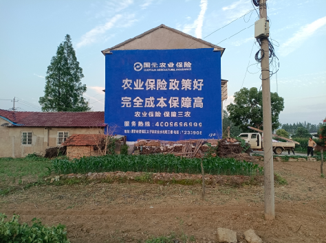 香格里拉墙体广告为何受追捧？